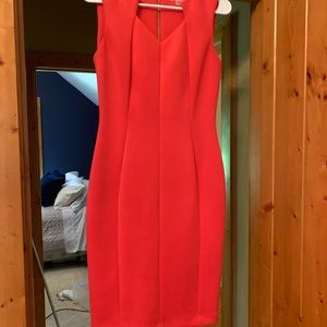 Beautiful Calvin Klein fitted dress